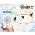 GPS per cani 4G tracker