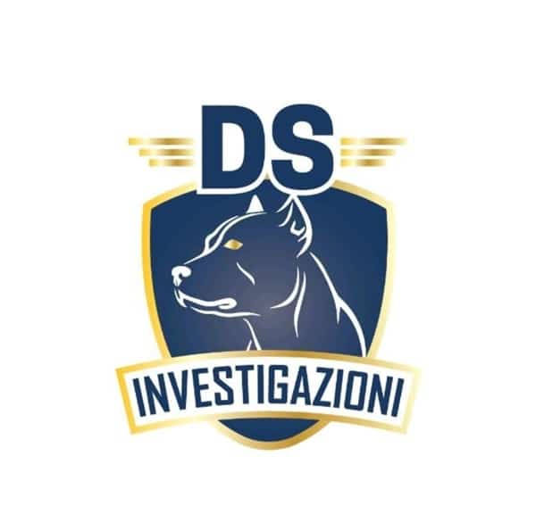 DS Investigazioni